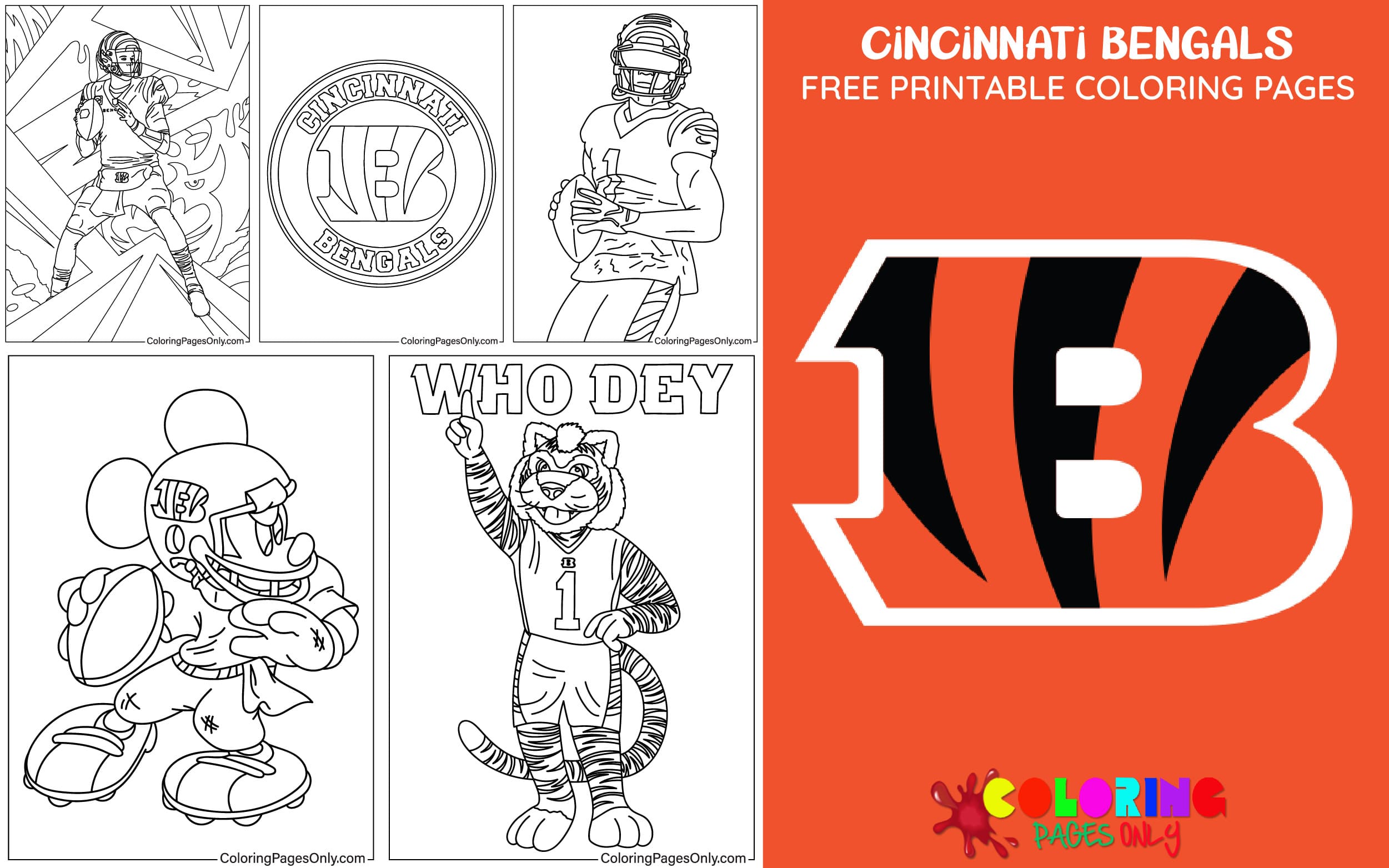 Cincinnati Bengals