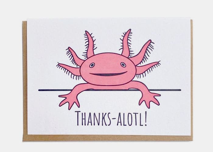 Create Axolotl Greeting Cards