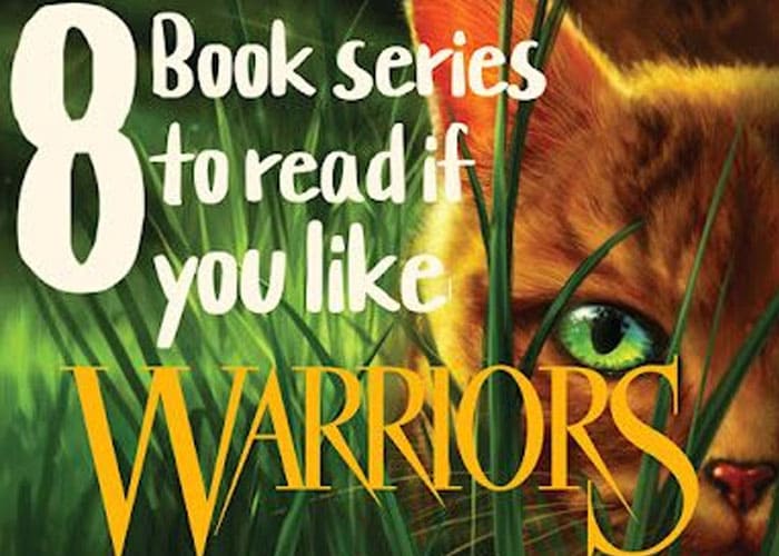 Custom Warrior Cat Storybooks