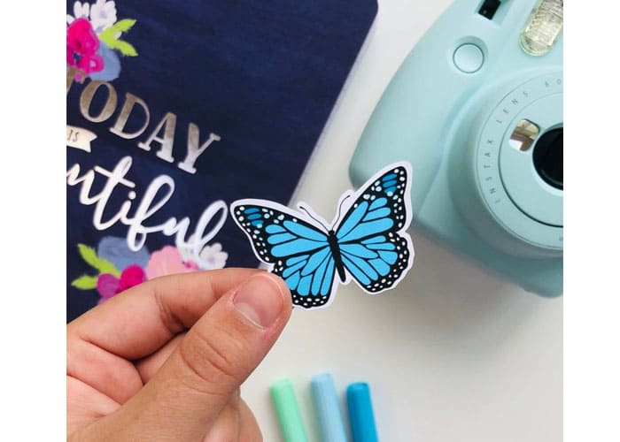 Turn Them into Butterfly Stickers