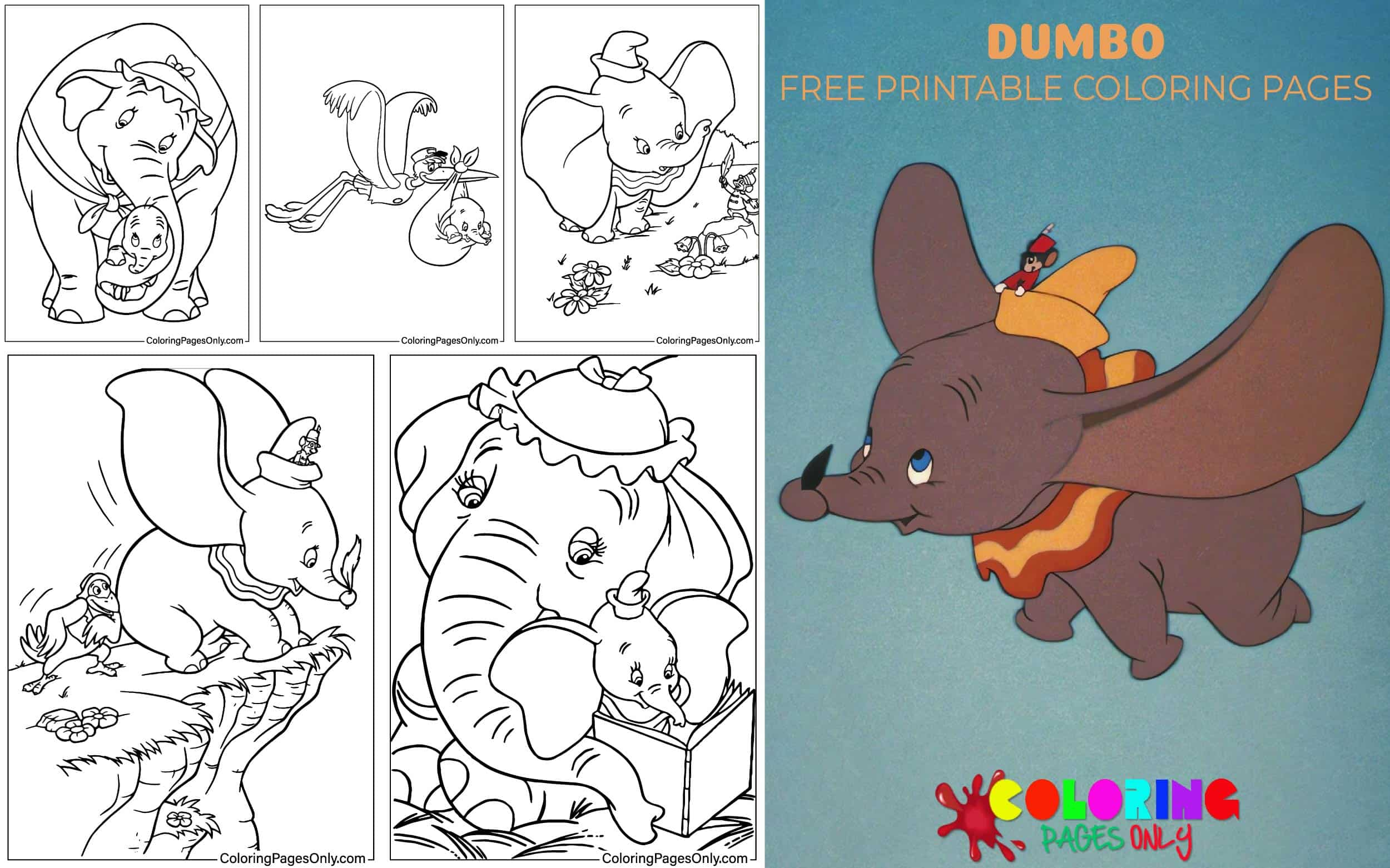 Dumbo