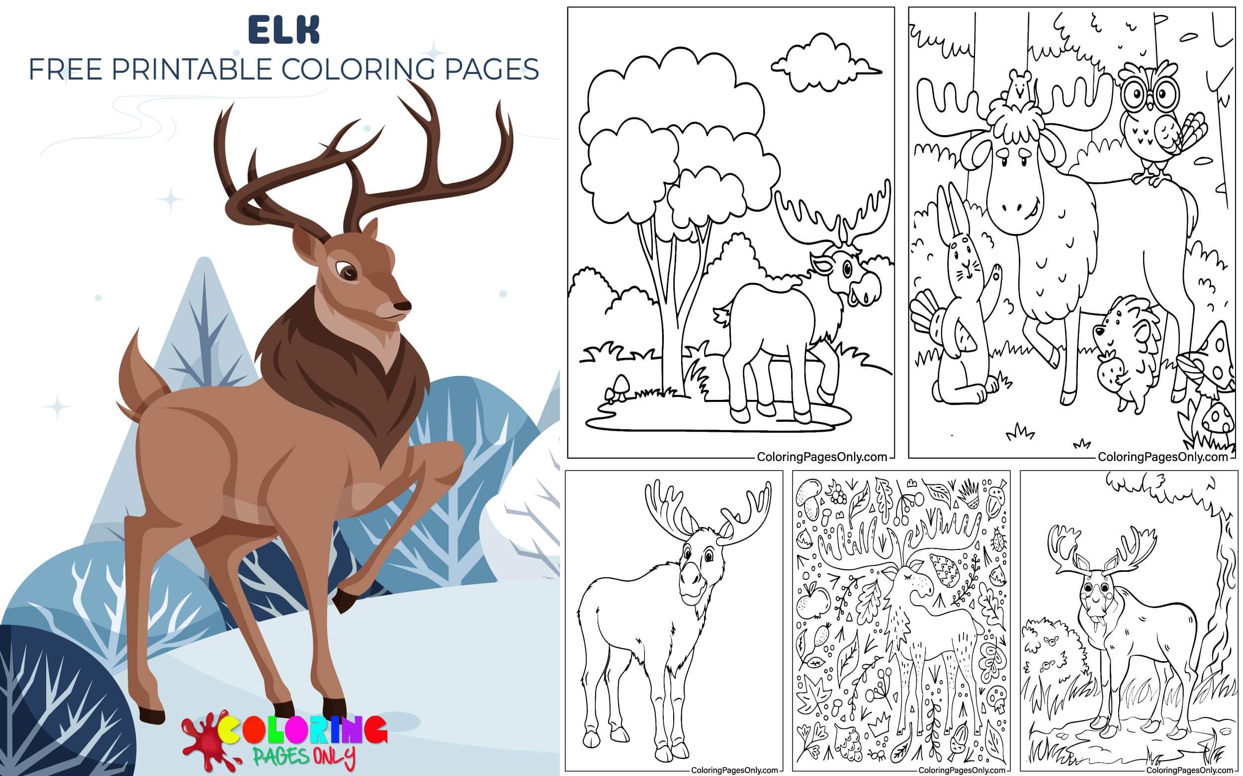 Elk