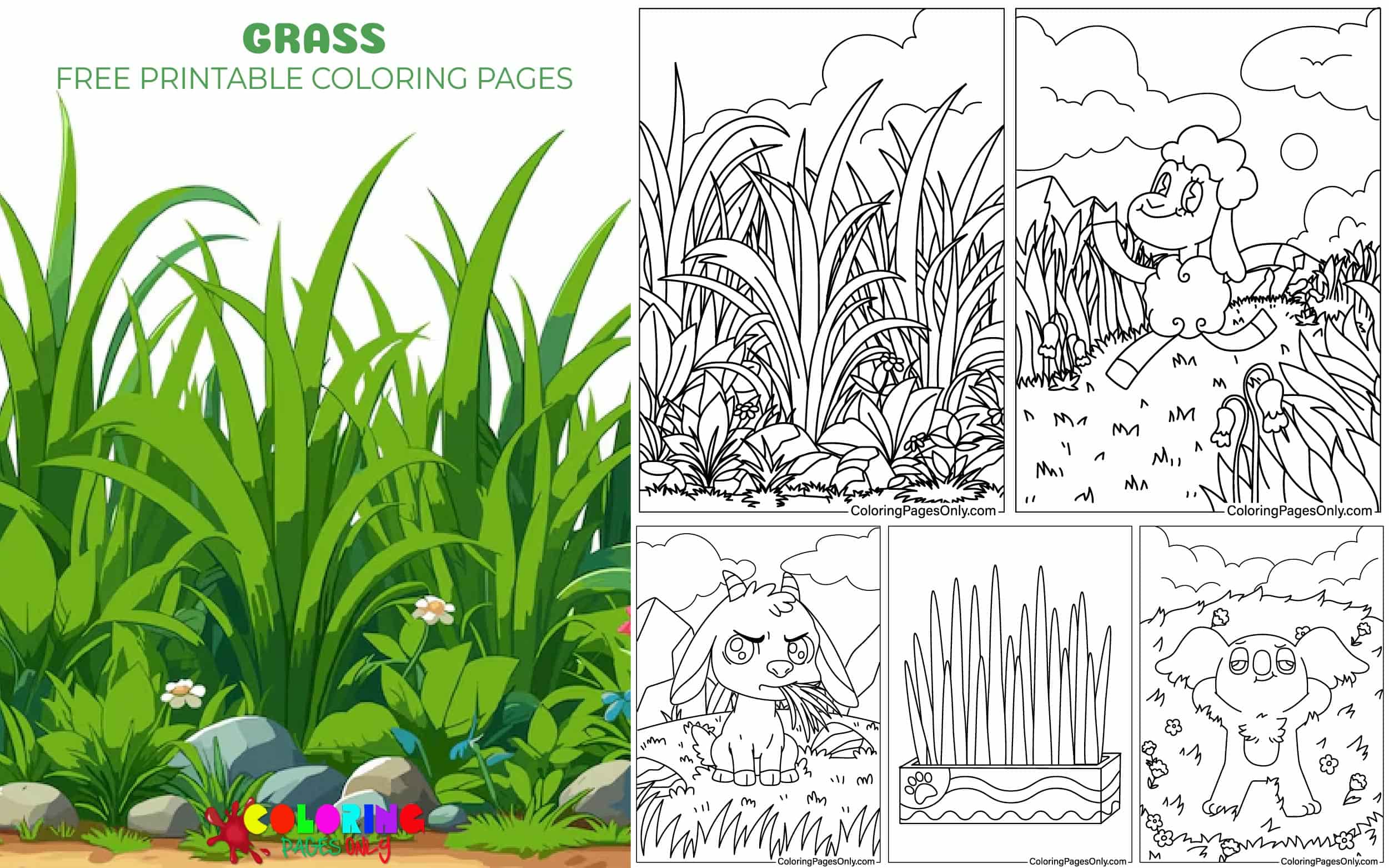 Grass Coloring Pages Printable 2025 