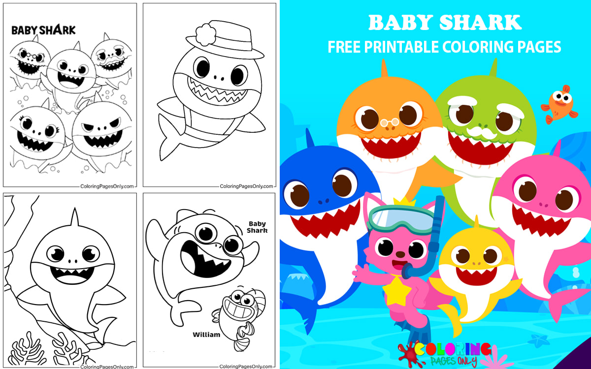 Baby Shark