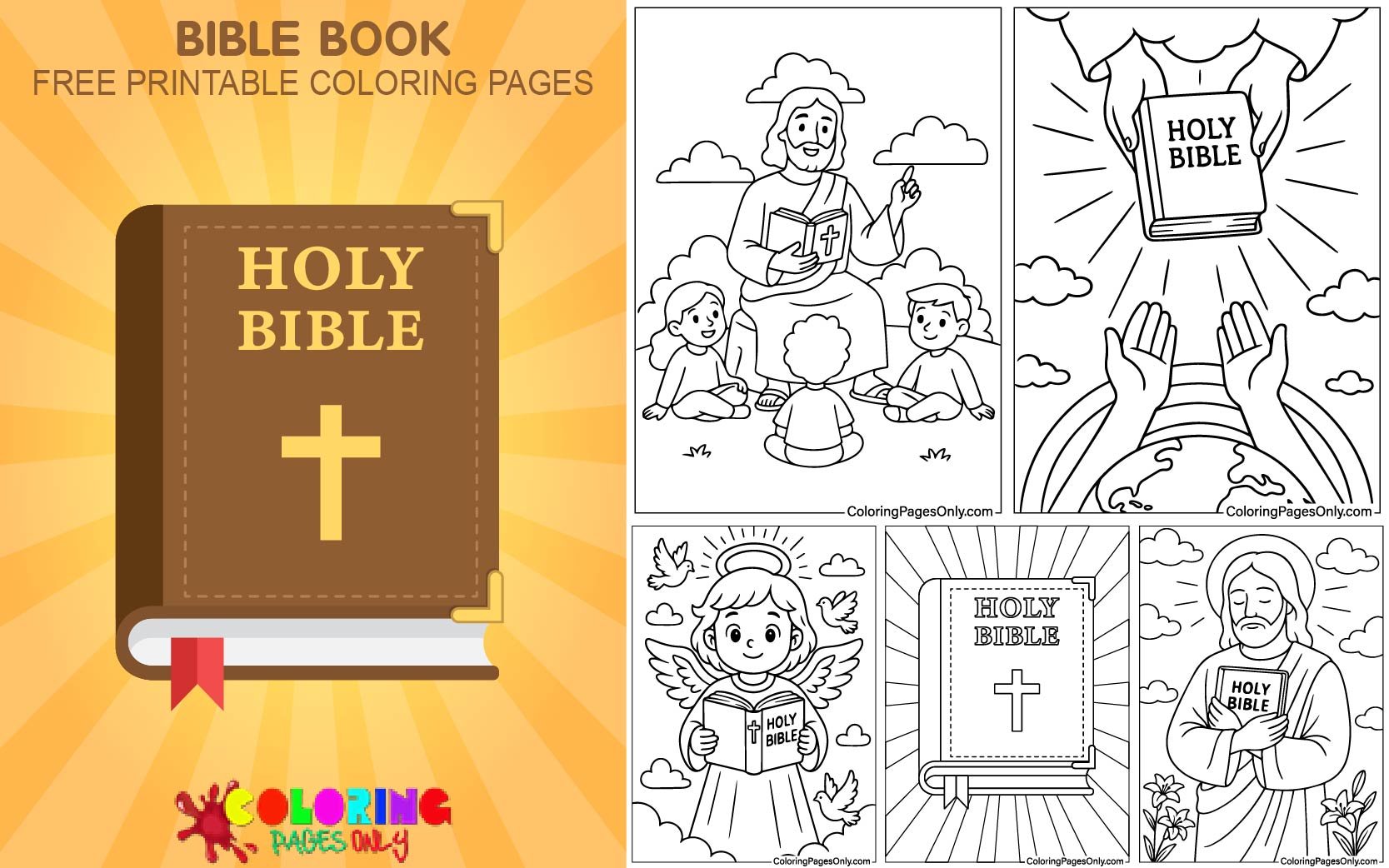 Bible Book