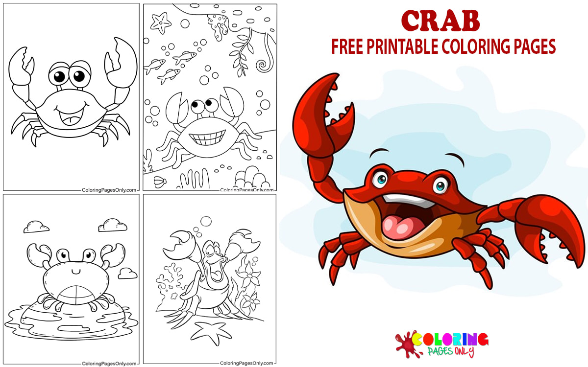 Crab