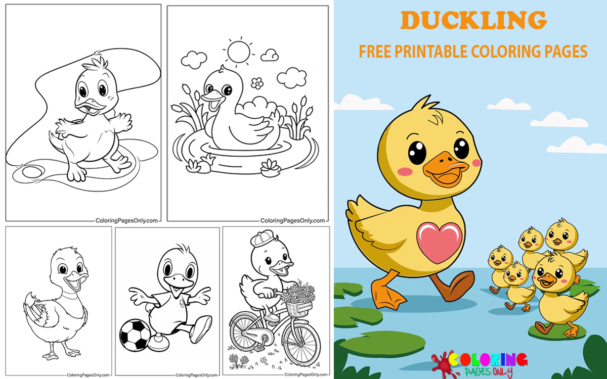 Duckling Coloring Pages