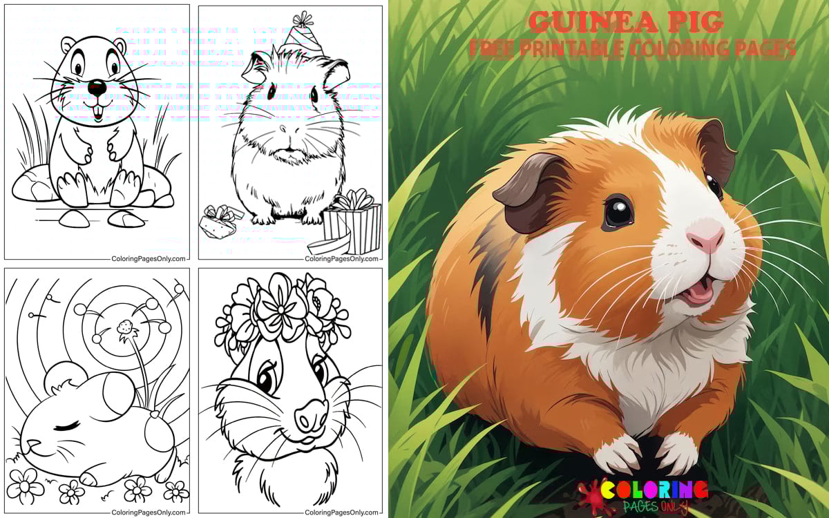 Guinea Pig Coloring Pages