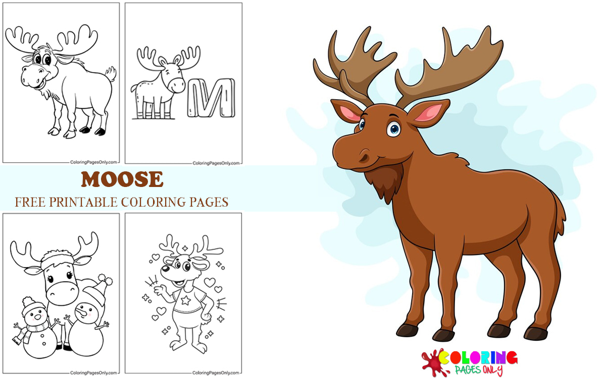Moose