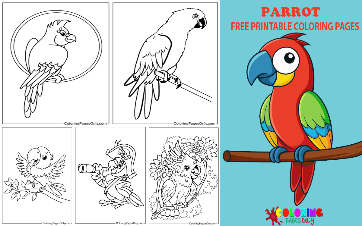 Parrot