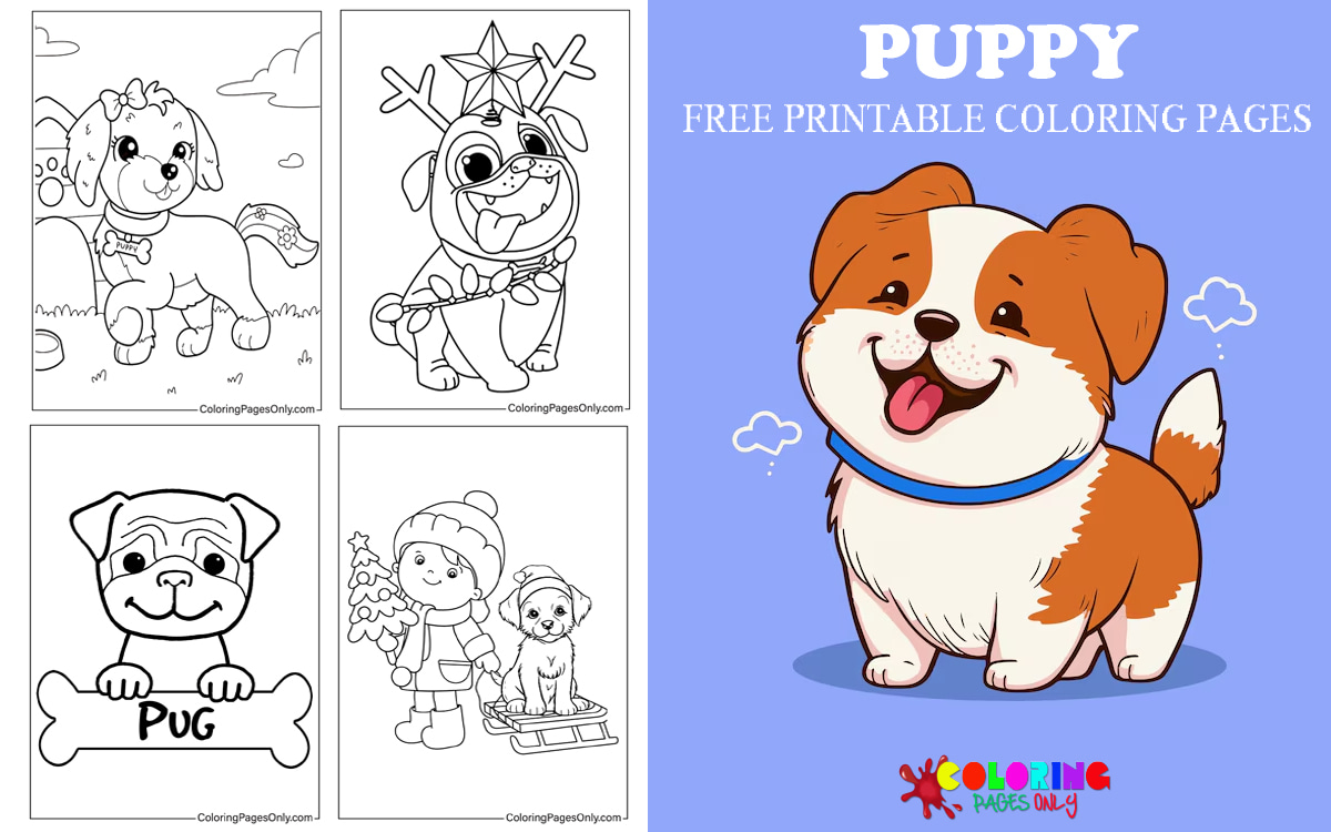 Puppy