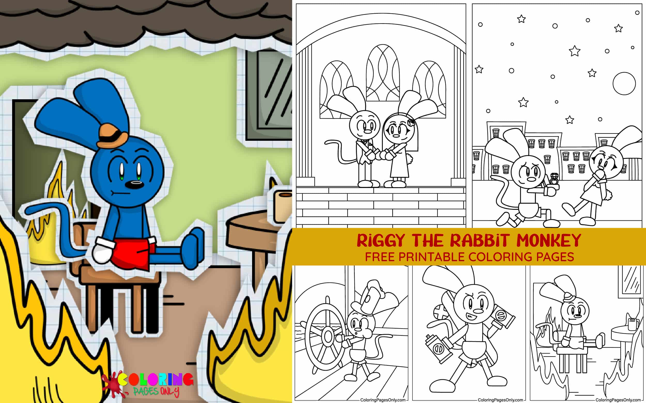 Riggy The Rabbit Monkey
