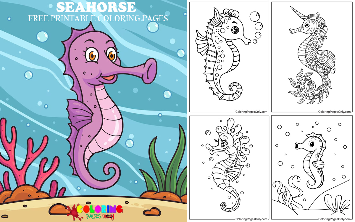 Seahorse