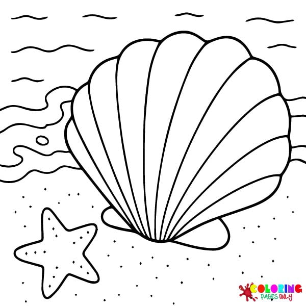 Seashell Coloring Pages