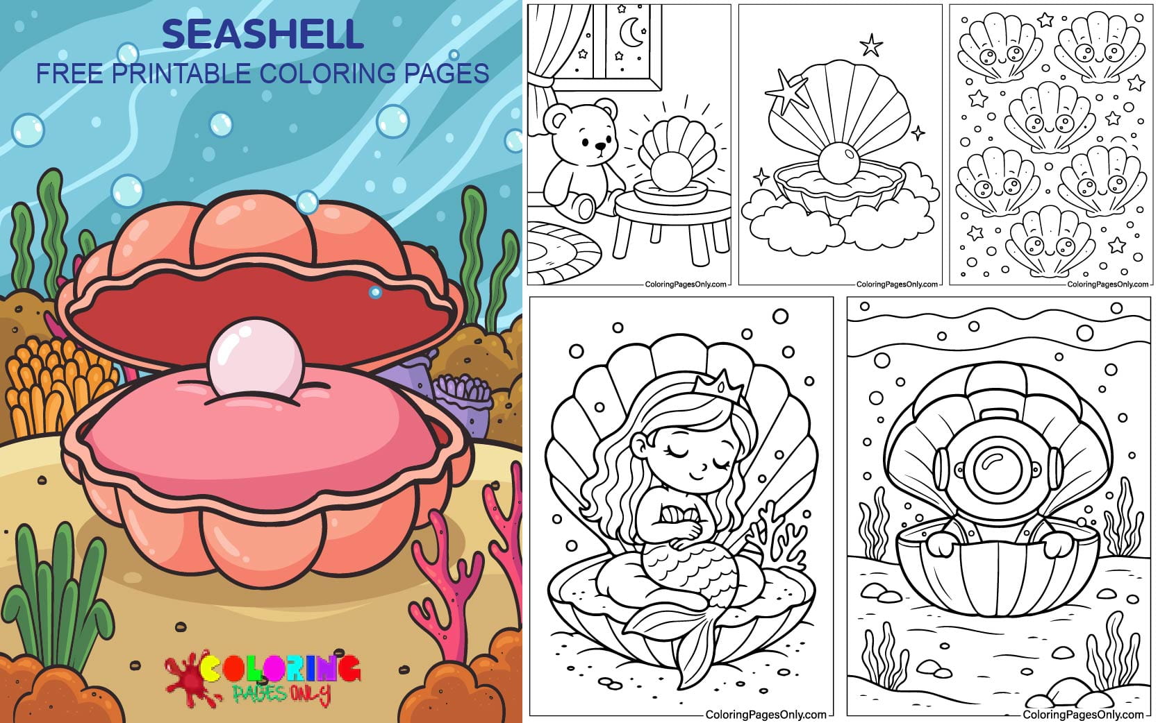 Seashell