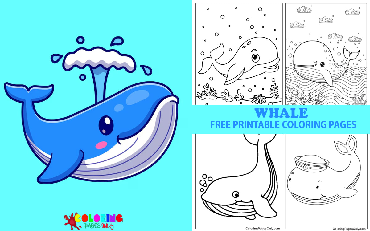 Whale