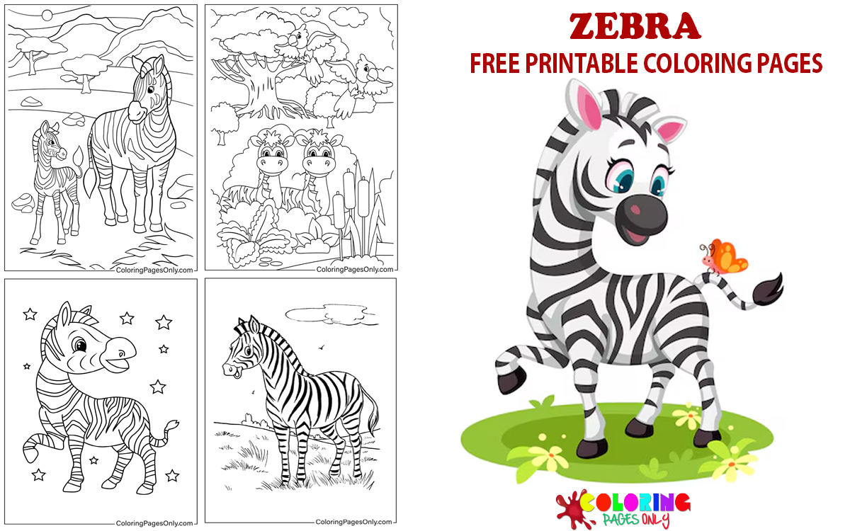 Zebra Coloring Pages