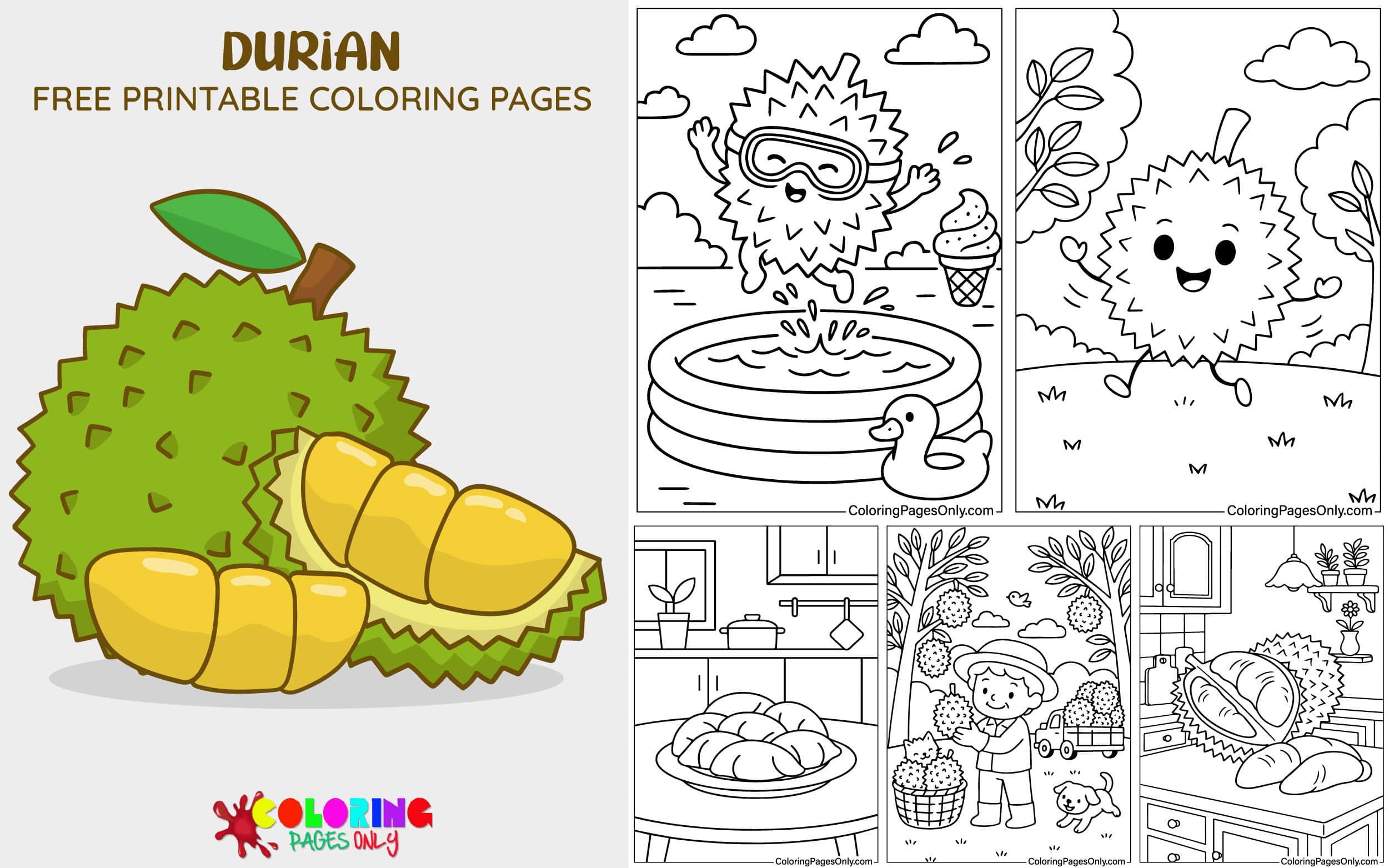 Durian Coloring Pages