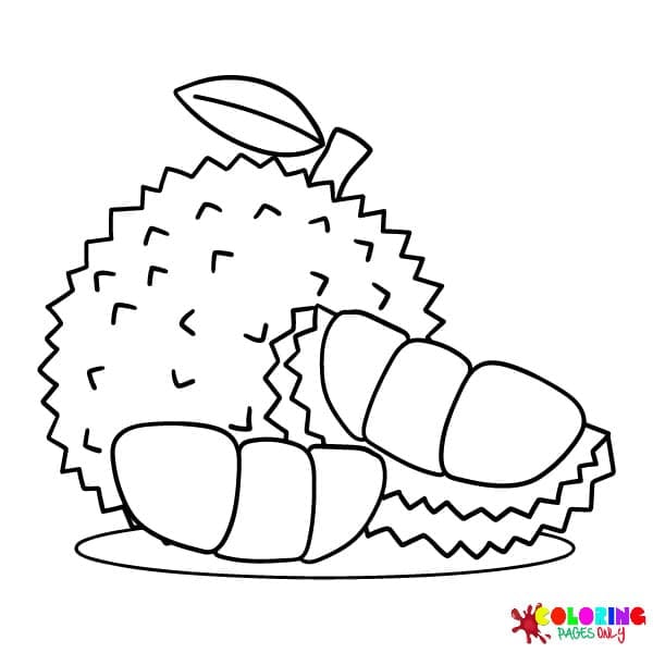 Durian Coloring Pages