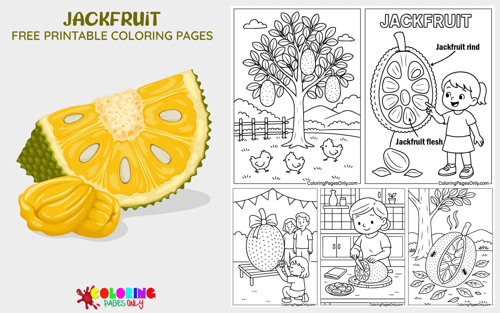 Jackfruit Coloring Pages