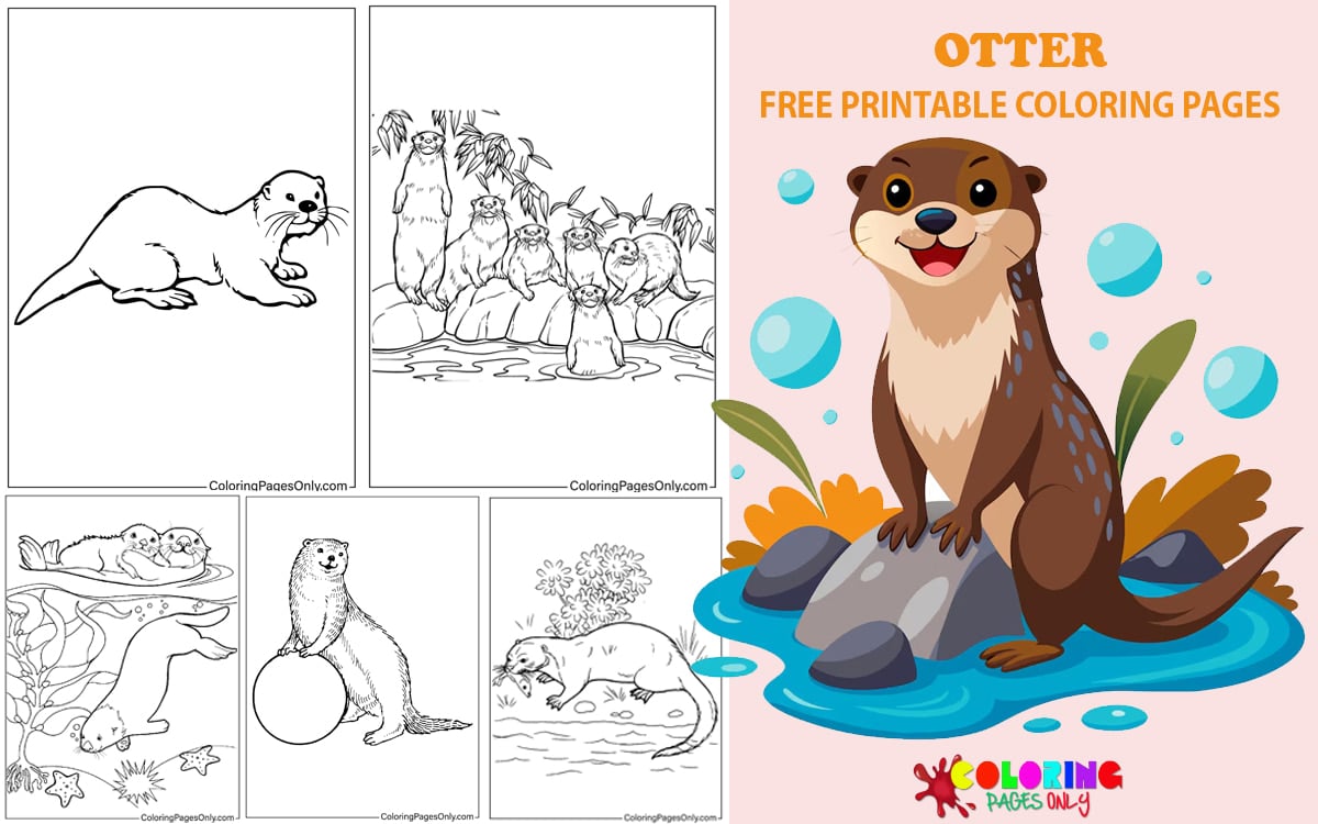 Otter