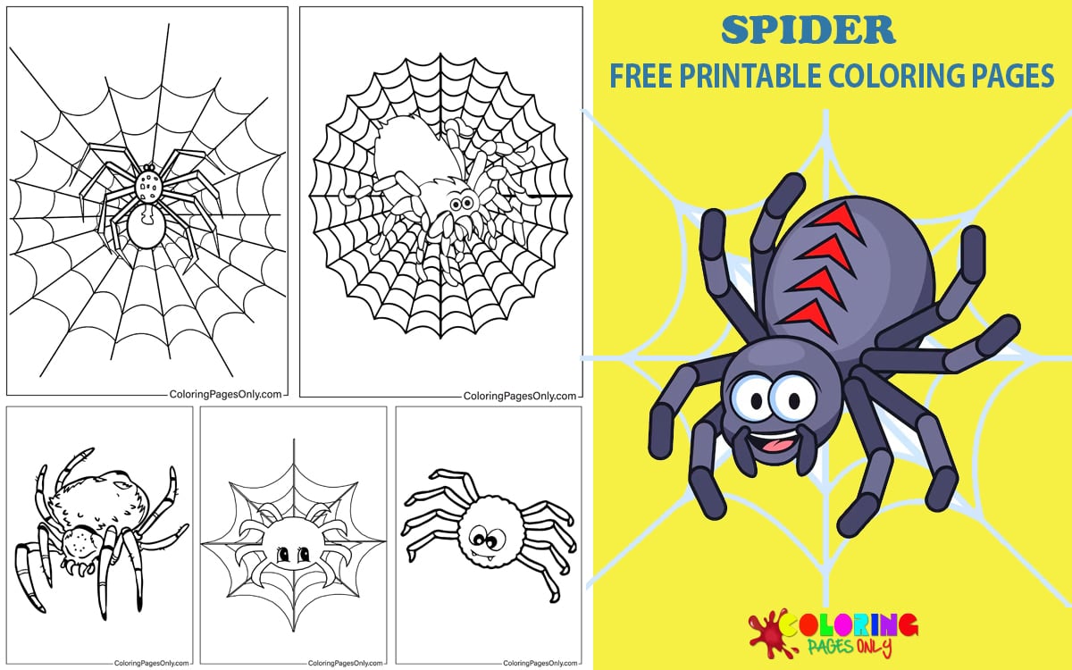 Spider Coloring Pages
