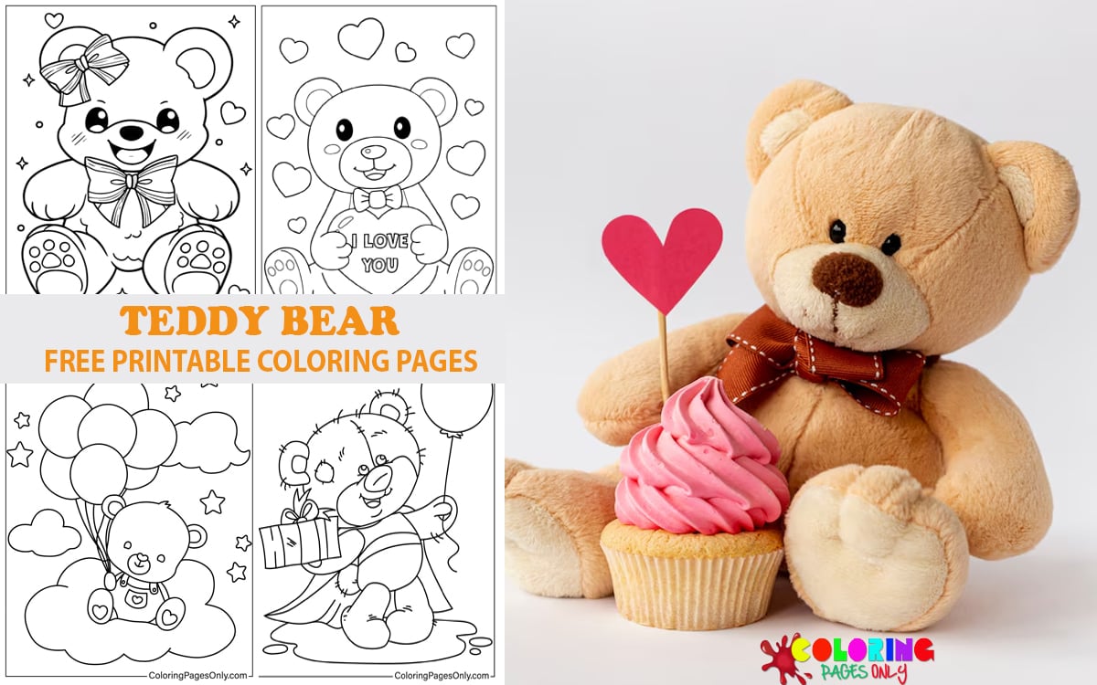 Teddy Bear