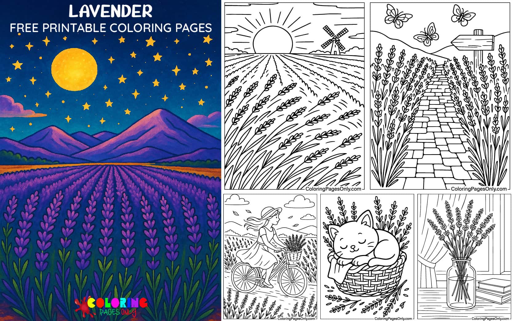 Lavender Coloring Pages
