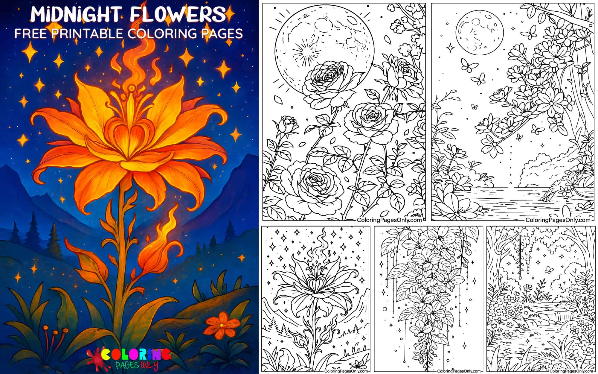 Midnight Flowers Coloring Pages