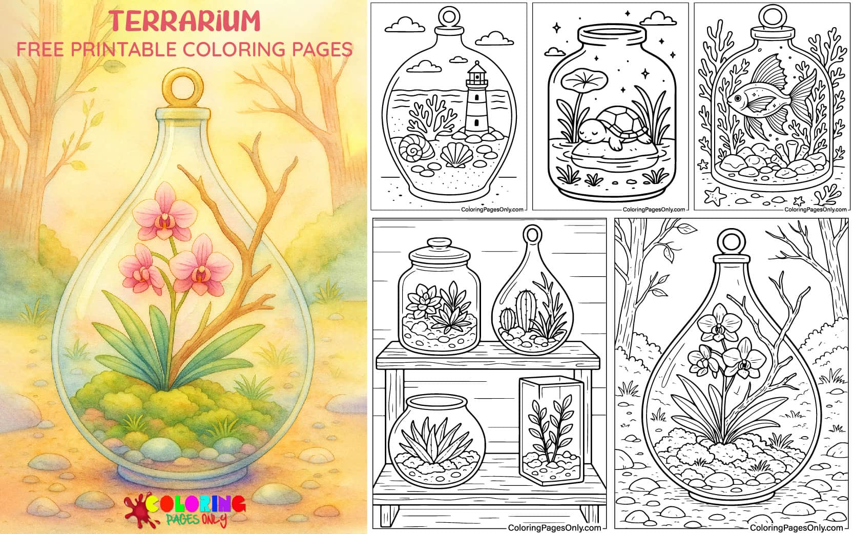 Terrarium Coloring Pages