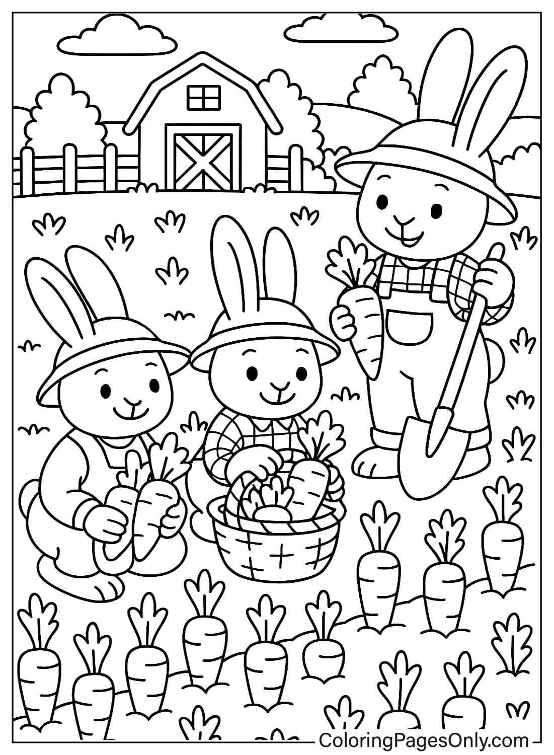 ثلاثة أرانب تحصد الجزر في الحديقة، صفحات تلوين حيوانات كوتيدجكور الجميلة. من حيوانات كوتيدجكور