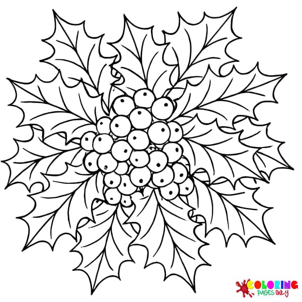 Christmas Holly Coloring Pages