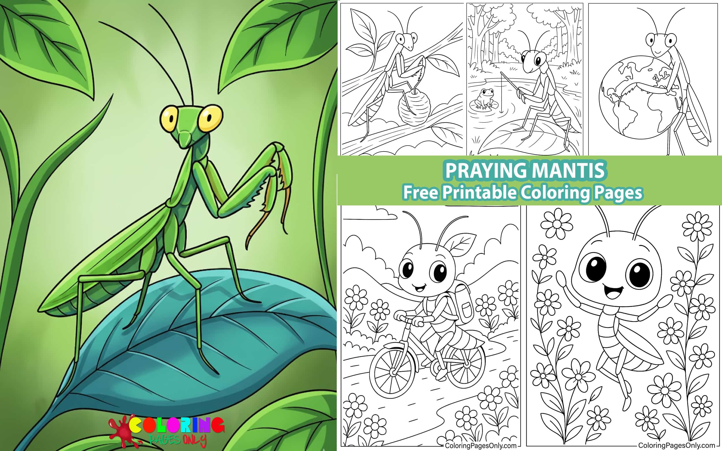 Praying mantis Coloring Pages
