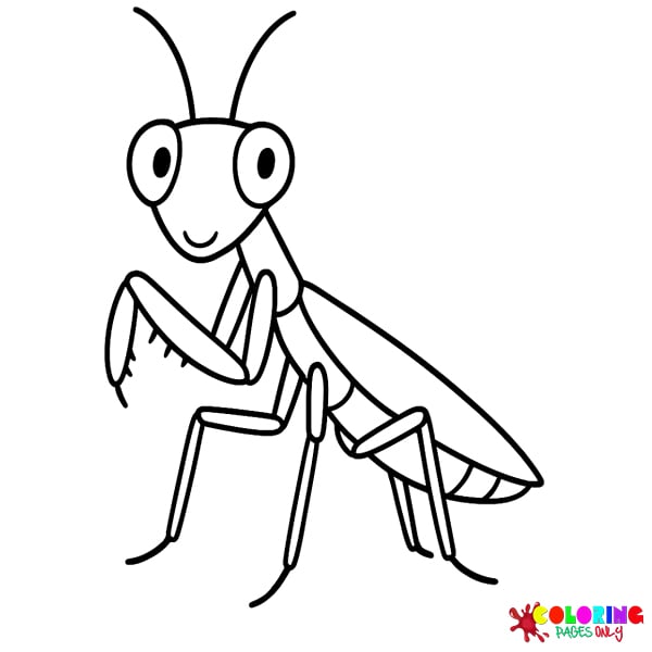 Praying mantis Coloring Pages