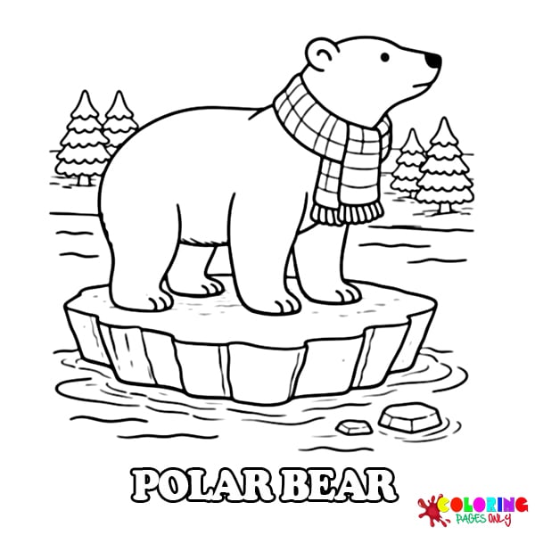 Polar Bear Coloring Pages