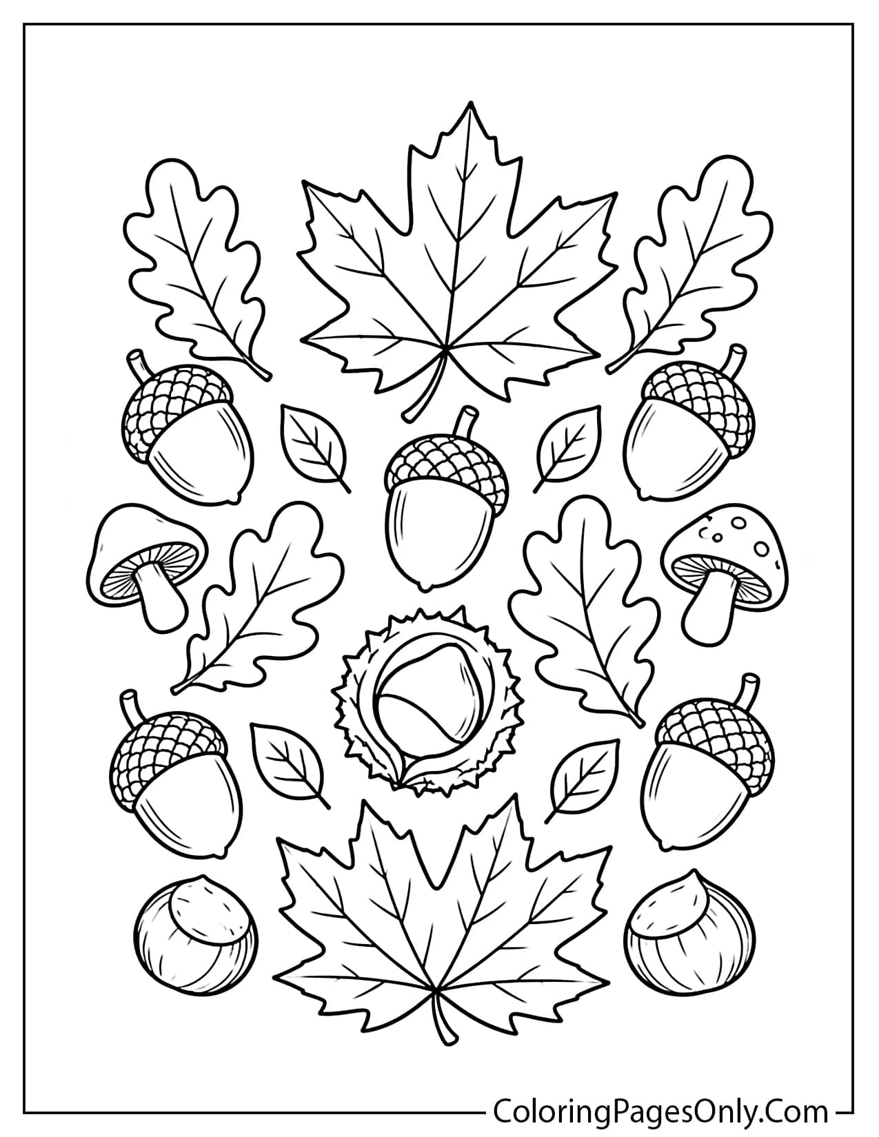 Acorns chestnuts and autumn fall leaves maple oak arrangement Thanksgiving coloring page from Thanksgiving