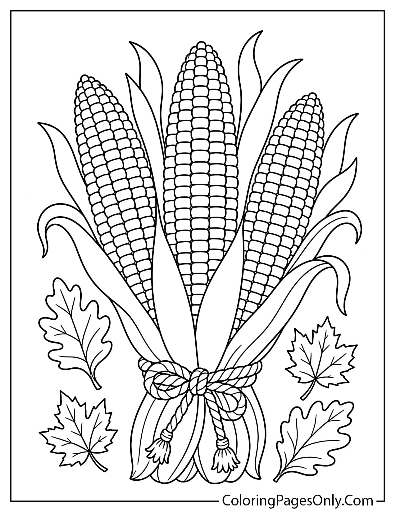 Indian corn decorative maize with multicolor kernels and husk leaves Thanksgiving coloring page from Thanksgiving