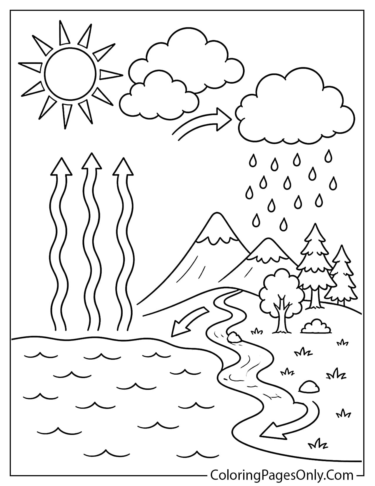 Water Cycle Coloring Page Showing Evaporation Clouds And Rain from Weather