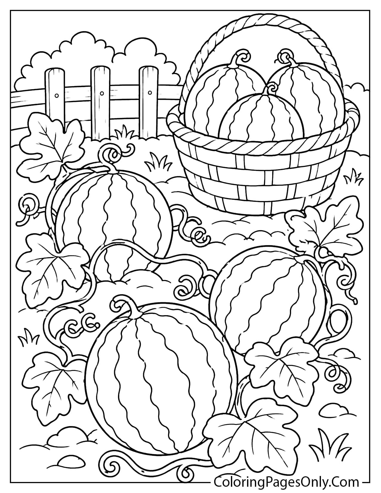 Watermelon farm harvest coloring page with vines basket and ripe melons from Watermelon