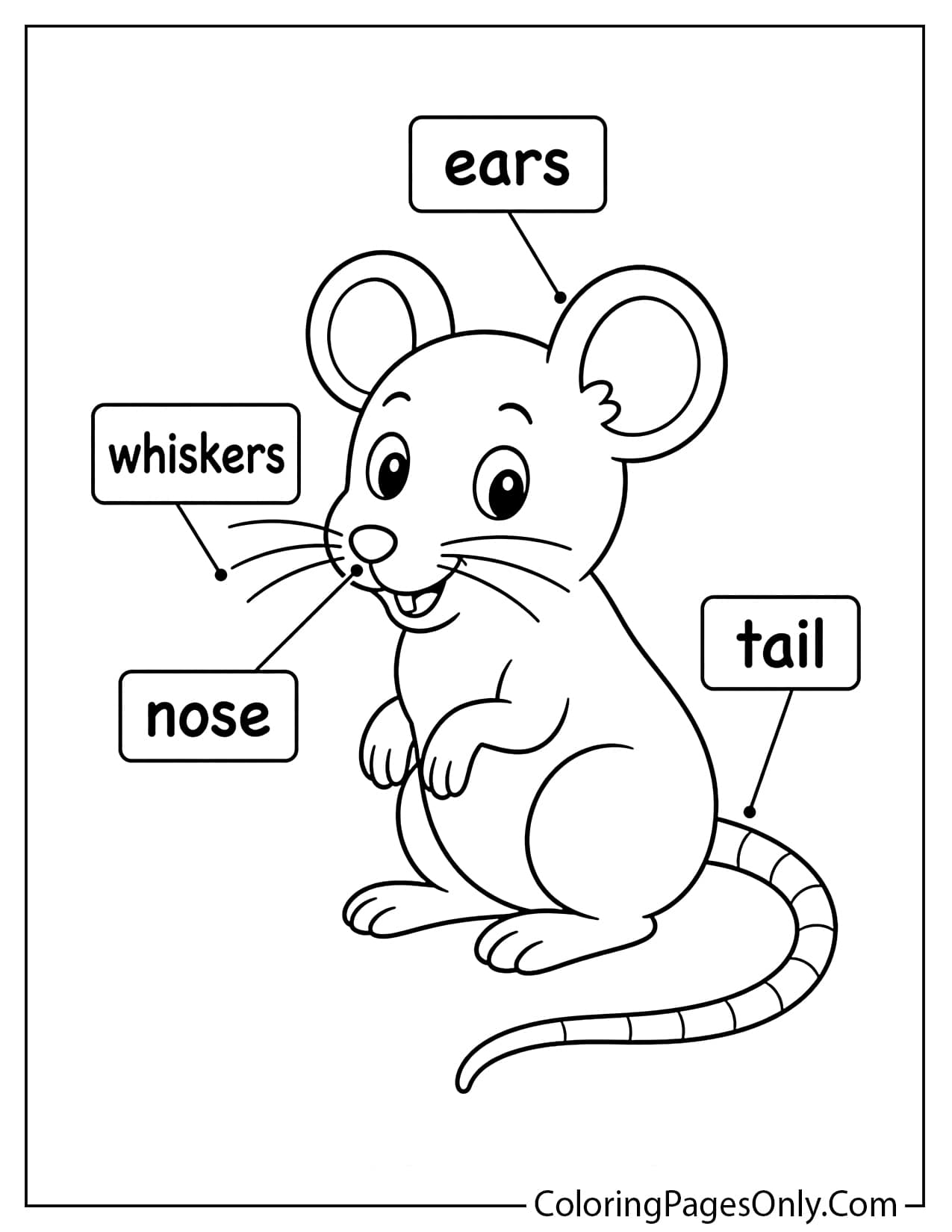 Simple mouse coloring page showing ears whiskers and tail from Mouse
