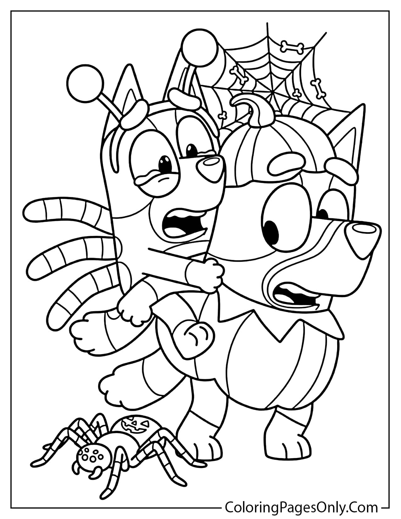 A Halloween coloring page showing Bingo riding on Bluey's back, both looking scared at a giant spider crawling below. from Bluey Halloween