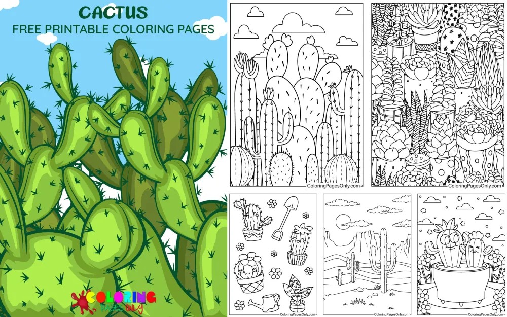 Cactus