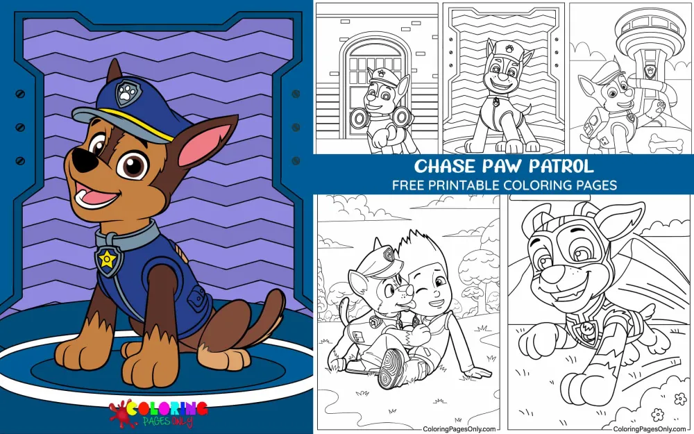 Chase Paw Patrol