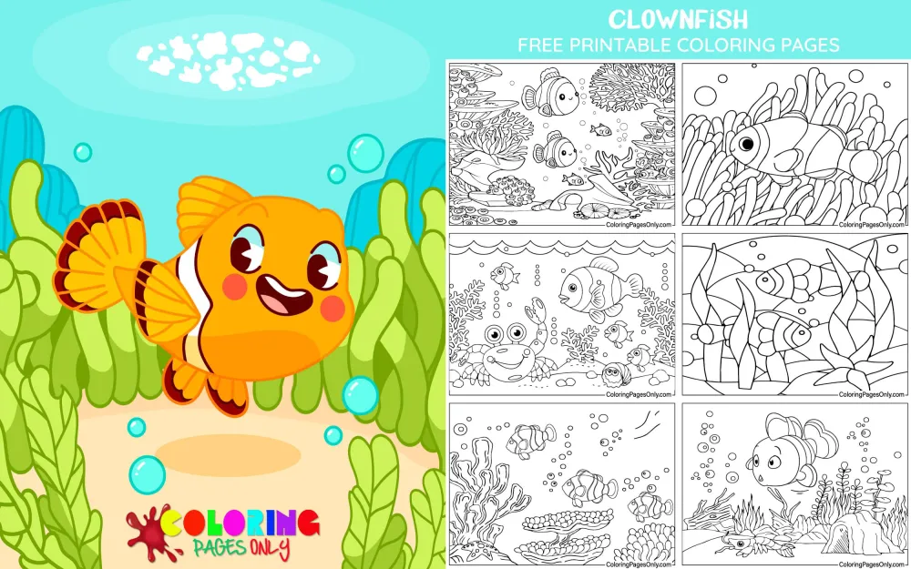 Clownfish
