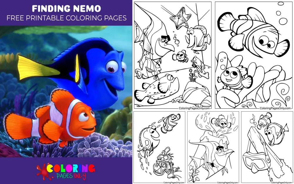 Finding Nemo