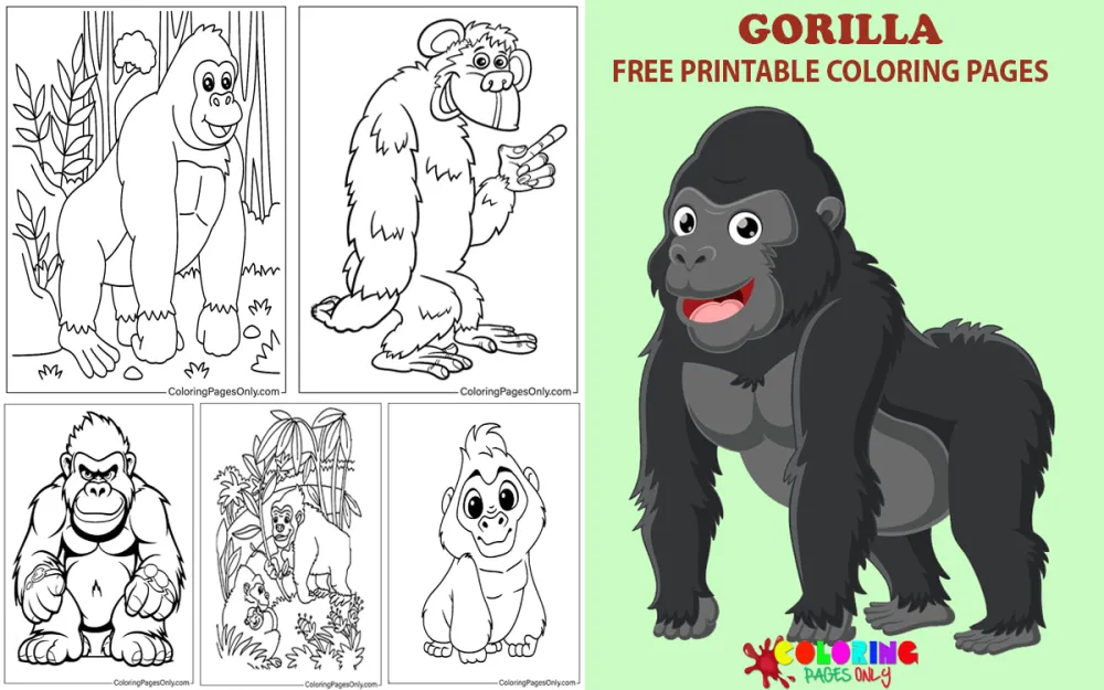 Gorilla