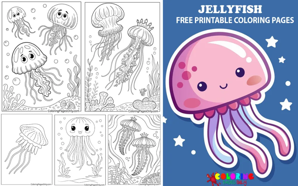 Jellyfish