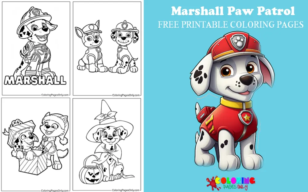Marshall Paw Patrol