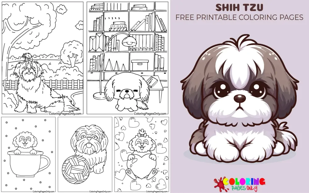 Shih Tzu